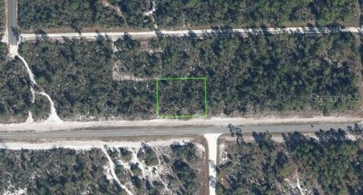 Picture of Residential Land For Sale in Lake Placid, Florida, United States
