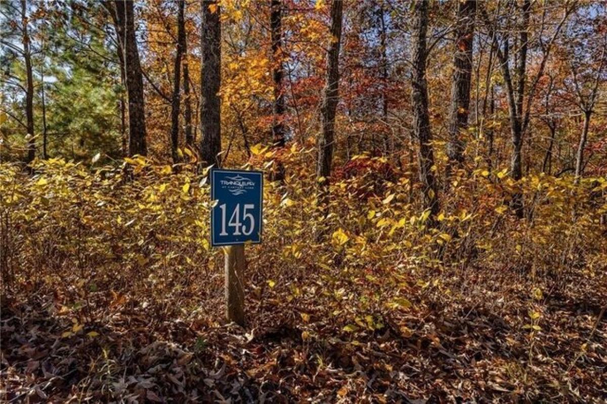 Picture of Residential Land For Sale in Ellijay, Georgia, United States