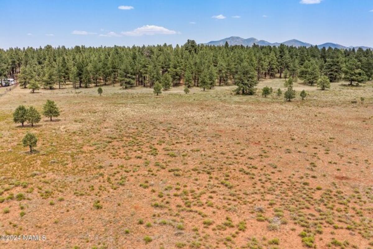 Picture of Residential Land For Sale in Williams, Arizona, United States