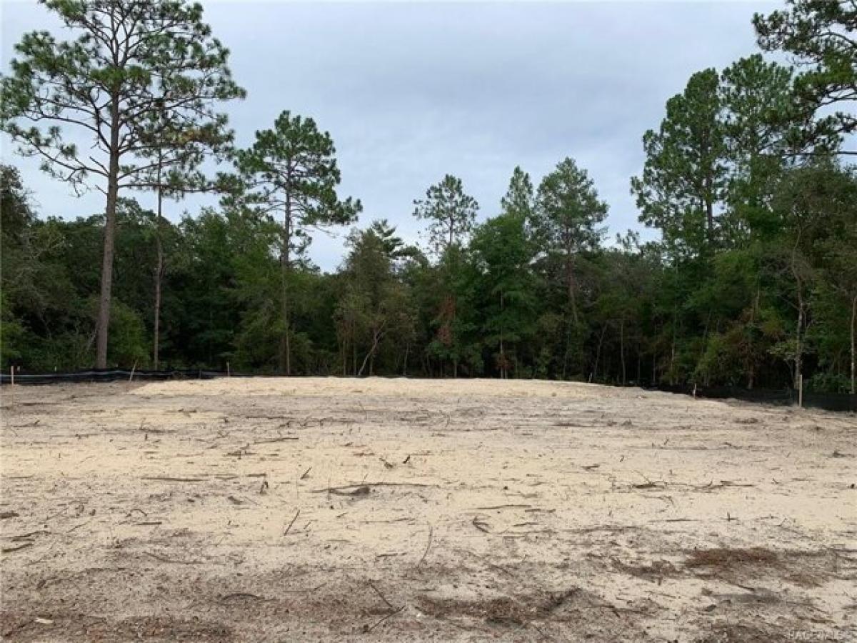 Picture of Home For Sale in Citrus Springs, Florida, United States