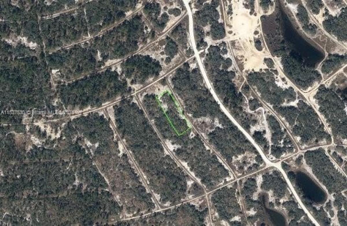 Picture of Residential Land For Sale in Lake Placid, Florida, United States