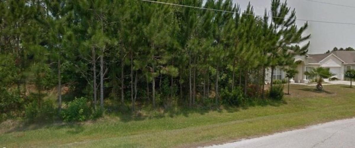 Picture of Residential Land For Sale in Kissimmee, Florida, United States