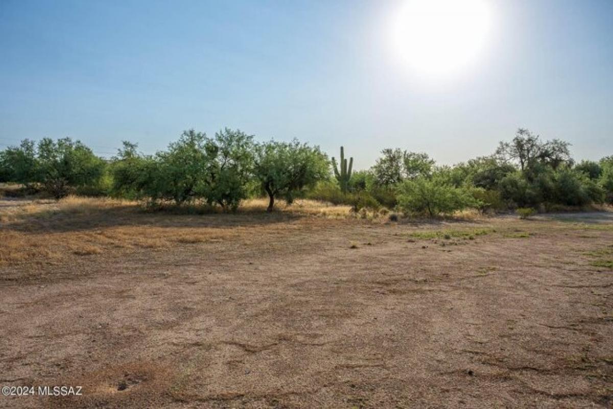 Picture of Residential Land For Sale in Tucson, Arizona, United States