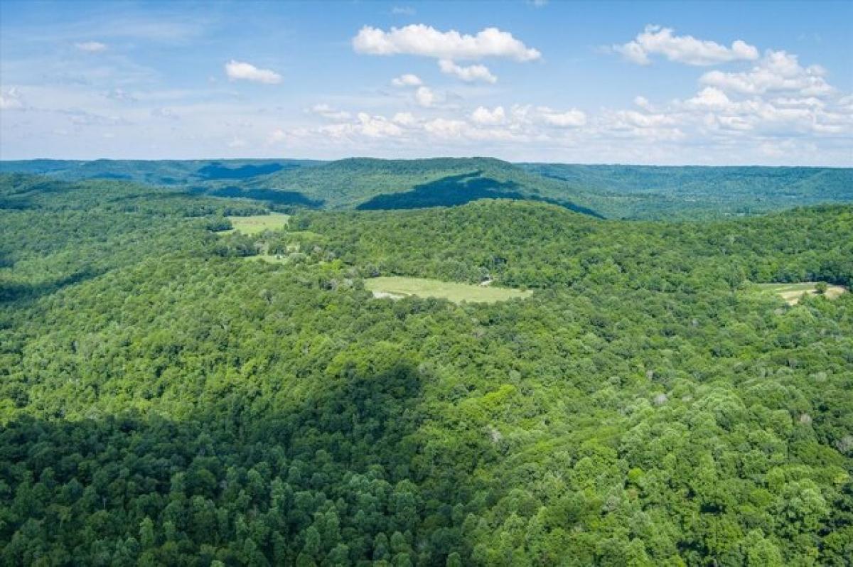 Picture of Residential Land For Sale in Monterey, Tennessee, United States