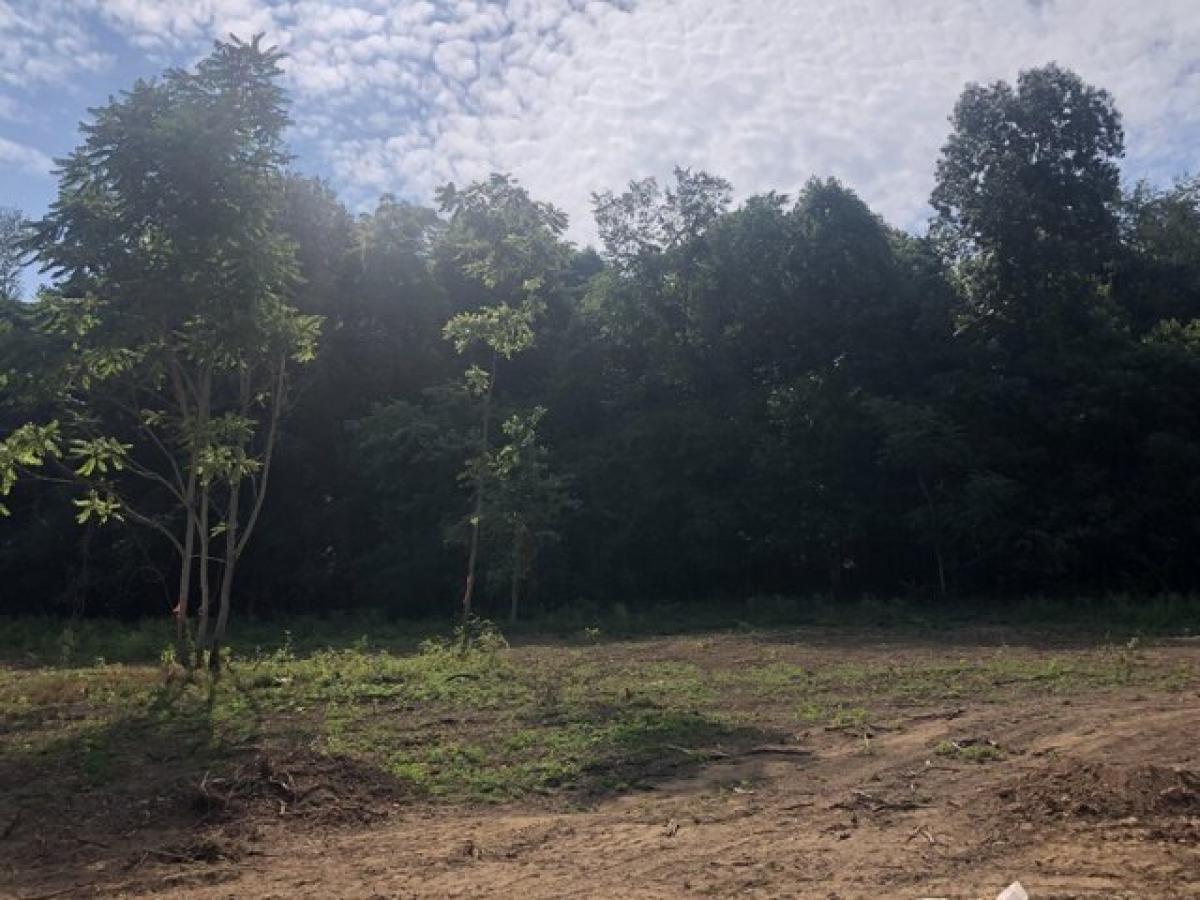 Picture of Home For Sale in Lewisburg, Tennessee, United States