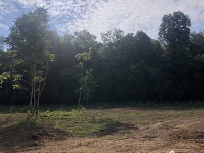 Home For Sale in Lewisburg, Tennessee