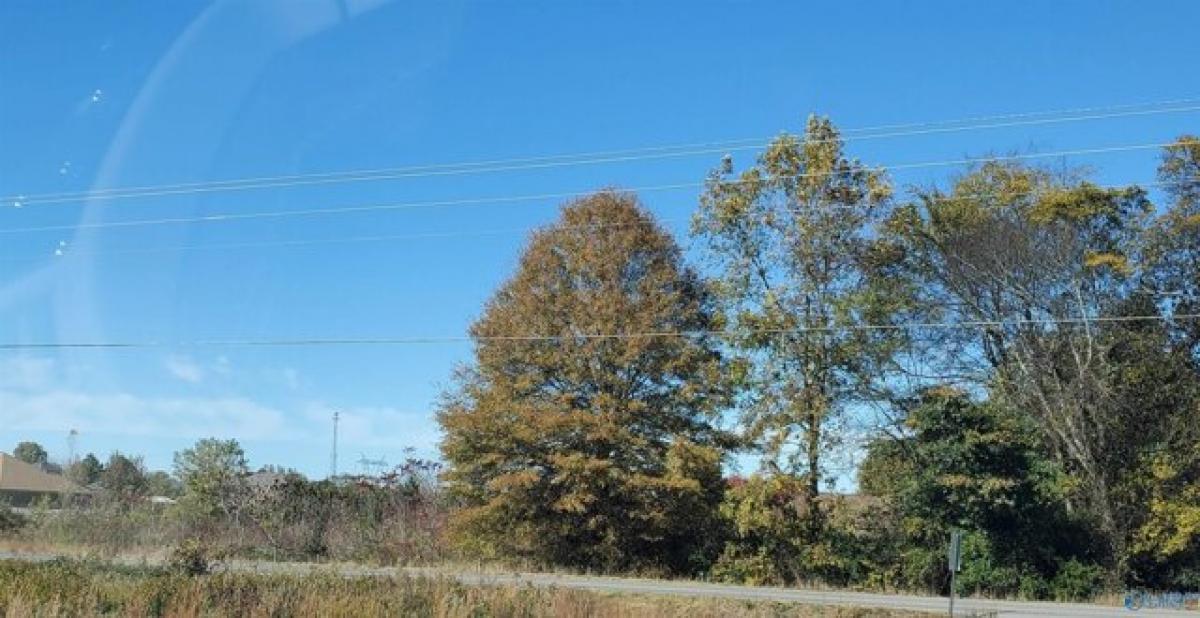 Picture of Residential Land For Sale in Athens, Alabama, United States