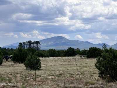 Residential Land For Sale in Williams, Arizona