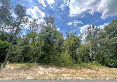 Residential Land For Sale in Ocala, Florida