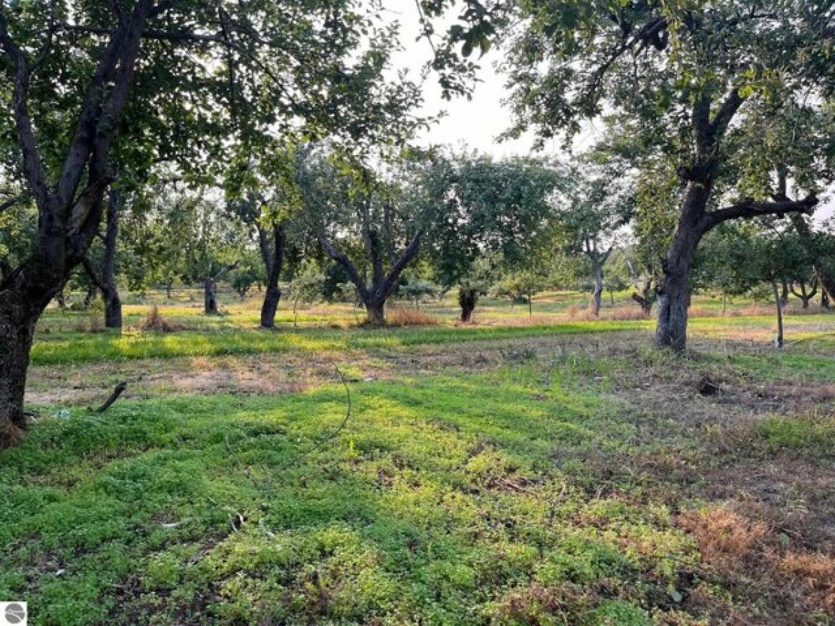 Picture of Residential Land For Sale in Traverse City, Michigan, United States