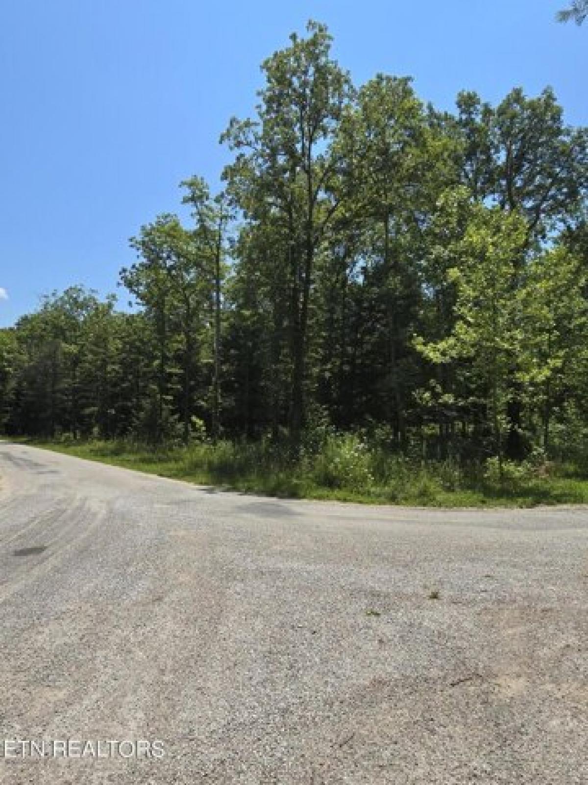 Picture of Residential Land For Sale in Jamestown, Tennessee, United States