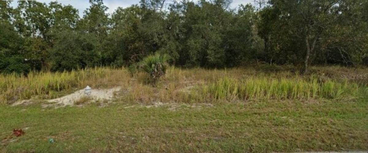 Picture of Residential Land For Sale in Kissimmee, Florida, United States