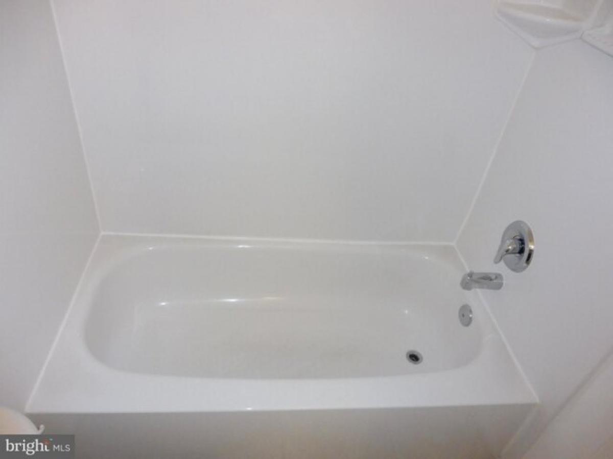 Picture of Home For Rent in Silver Spring, Maryland, United States