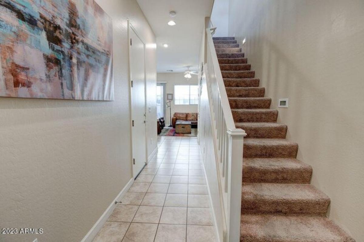 Picture of Home For Rent in Mesa, Arizona, United States