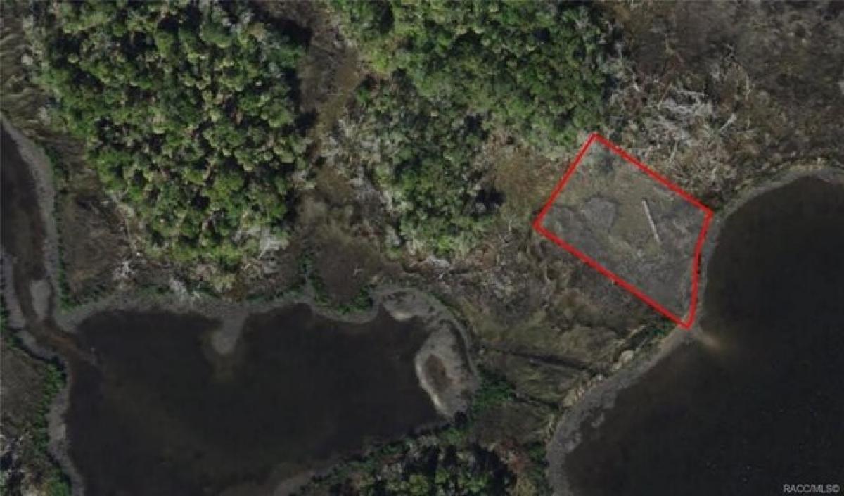 Picture of Residential Land For Sale in Crystal River, Florida, United States