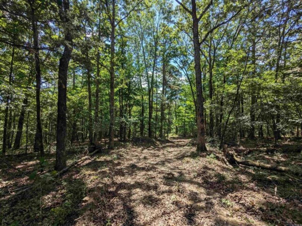 Picture of Residential Land For Sale in Shirley, Arkansas, United States