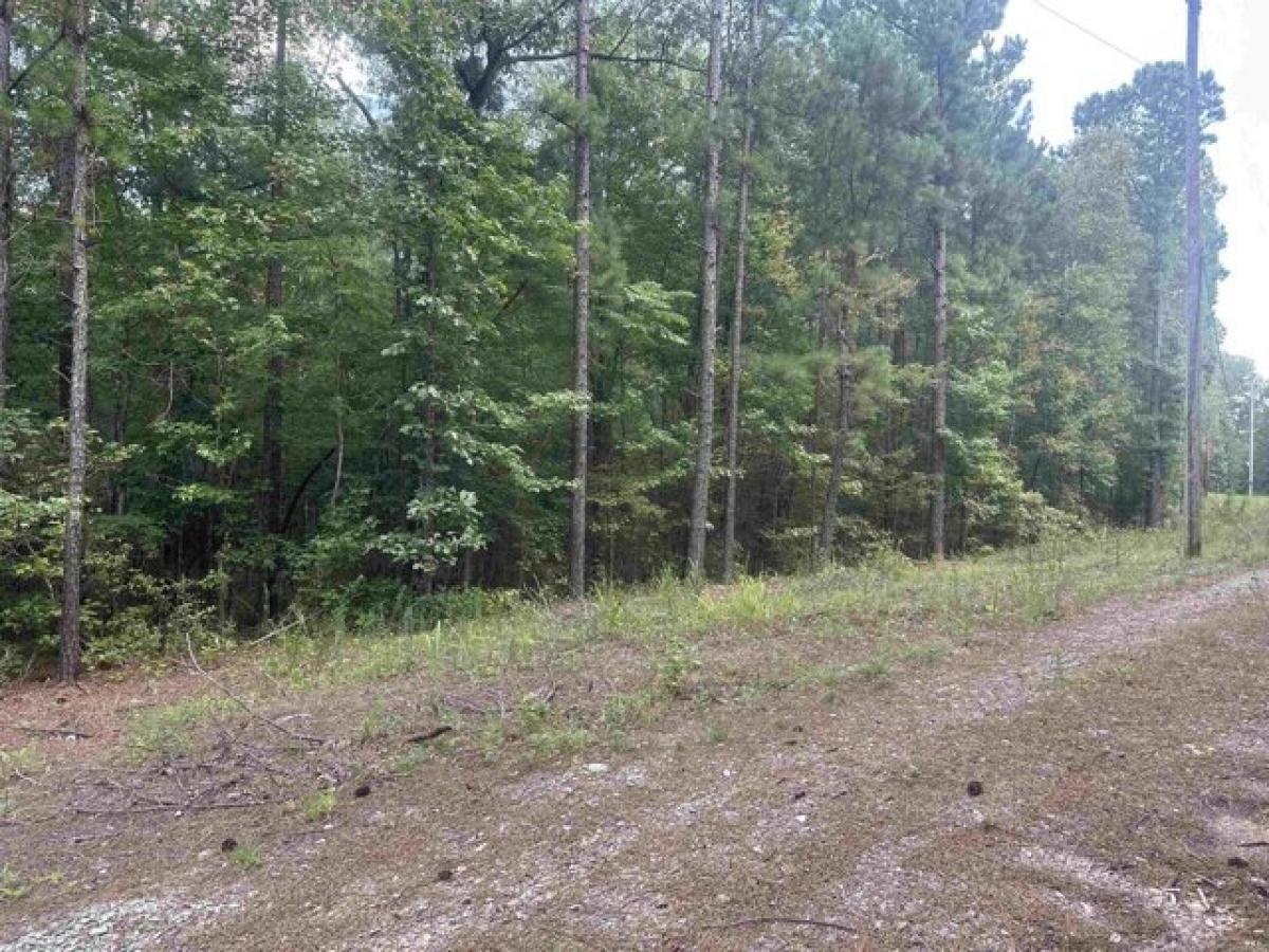 Picture of Residential Land For Sale in Alexander, Arkansas, United States