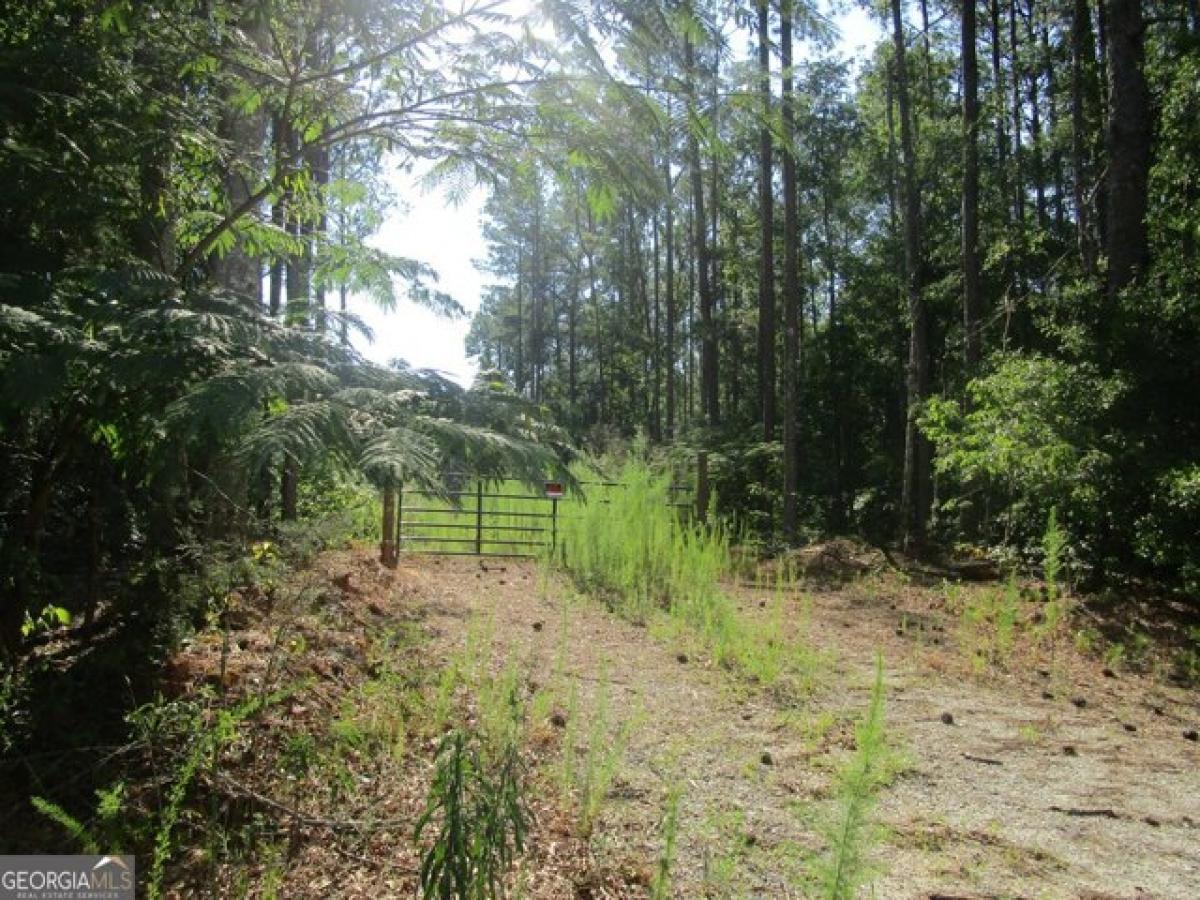 Picture of Residential Land For Sale in Griffin, Georgia, United States