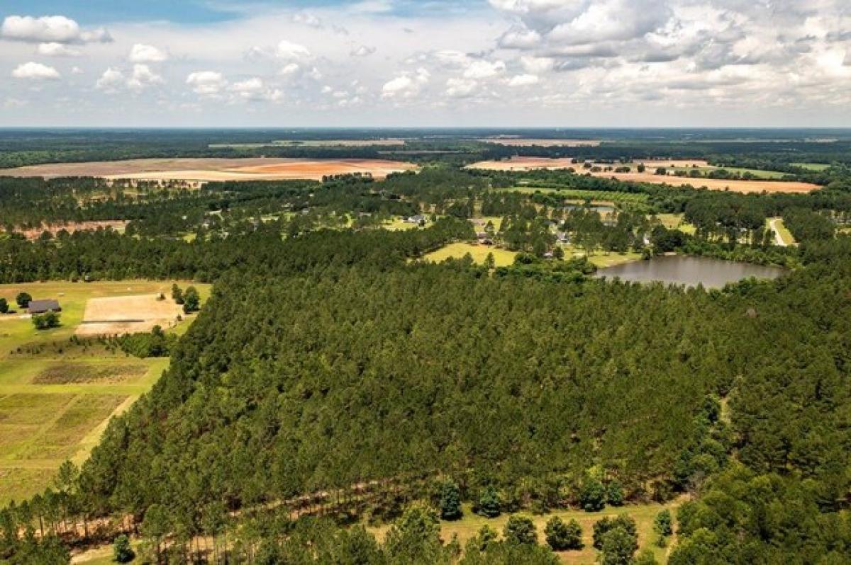 Picture of Residential Land For Sale in Leesburg, Georgia, United States