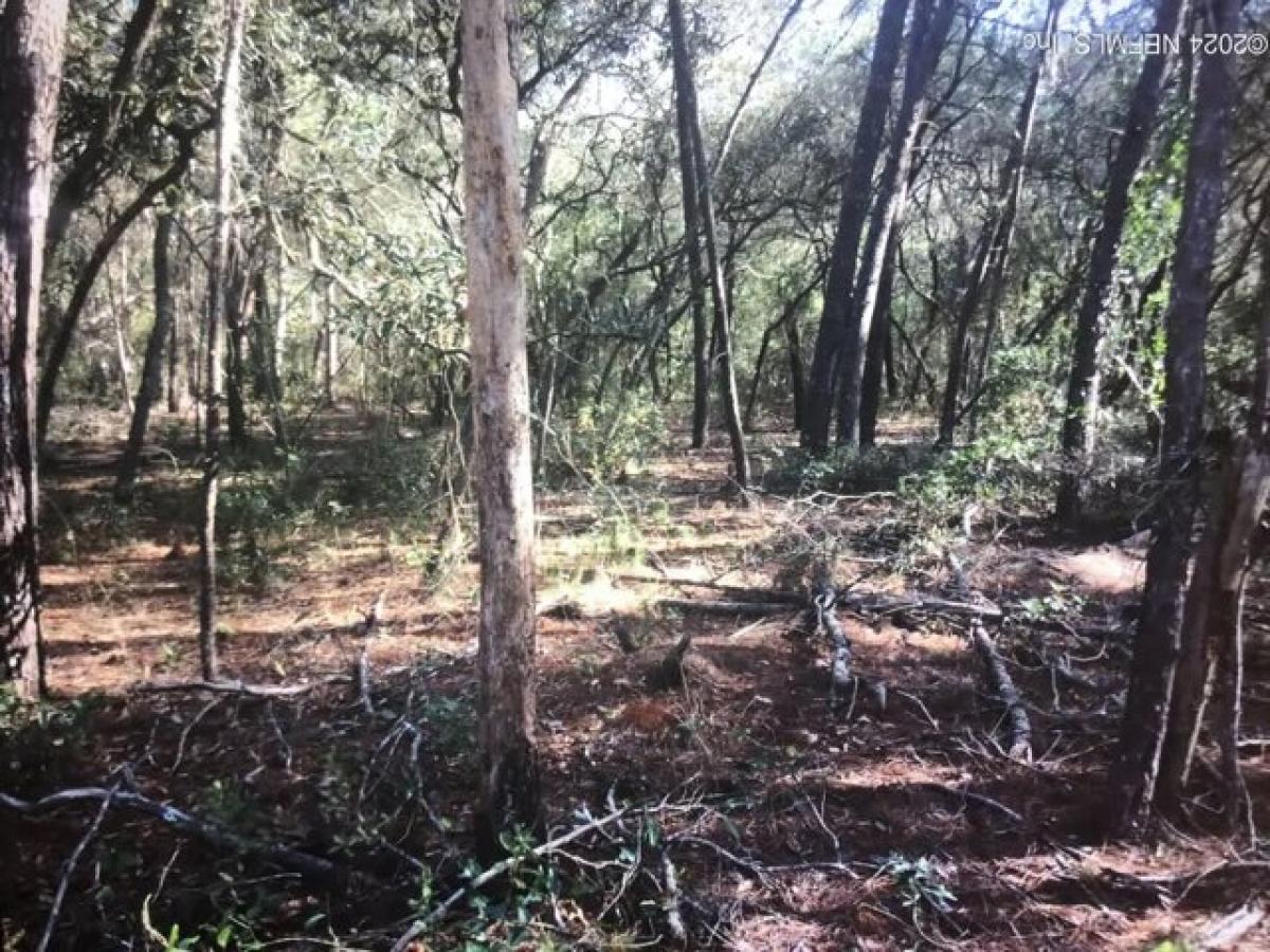 Picture of Residential Land For Rent in Satsuma, Florida, United States