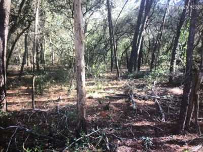 Residential Land For Rent in Satsuma, Florida