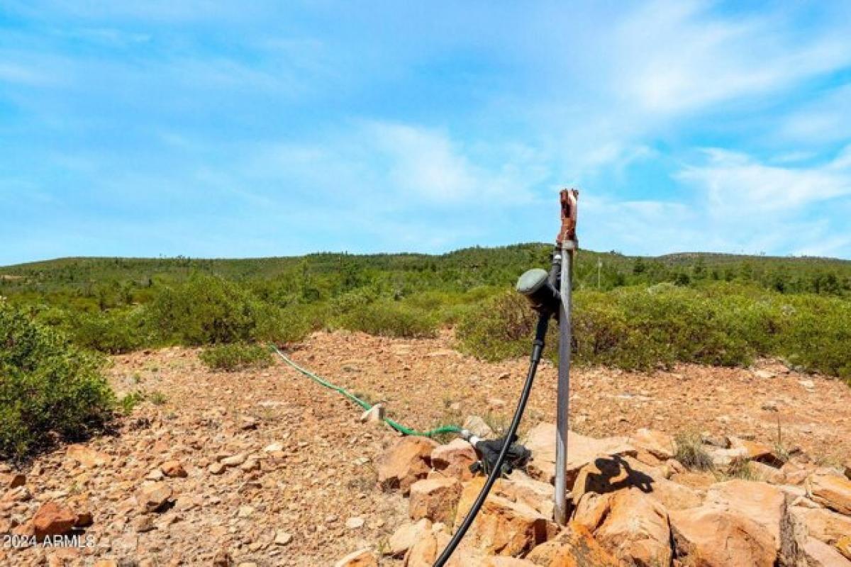 Picture of Residential Land For Sale in Show Low, Arizona, United States