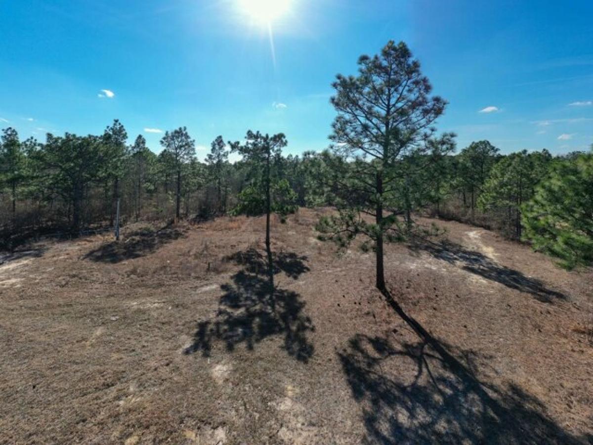 Picture of Residential Land For Sale in Aiken, South Carolina, United States