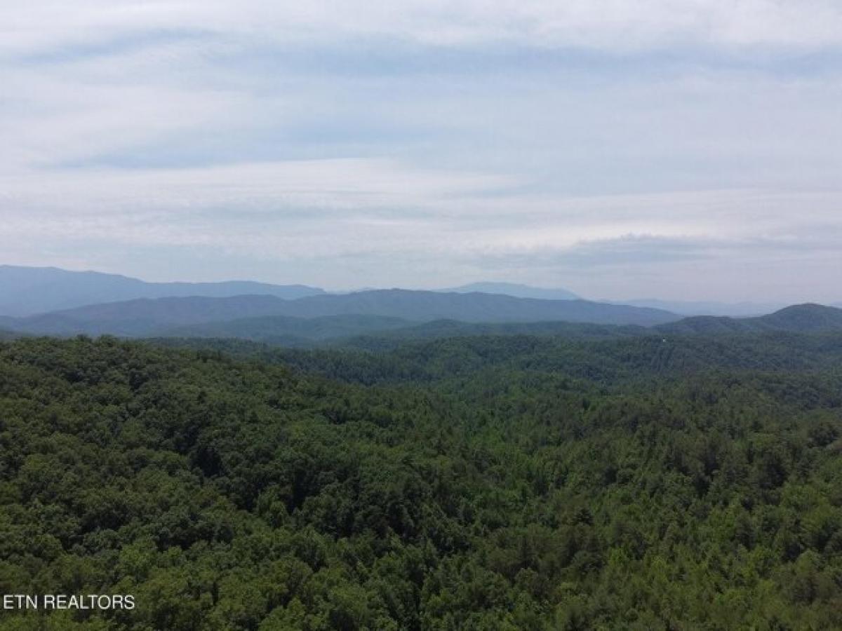 Picture of Residential Land For Sale in Sevierville, Tennessee, United States