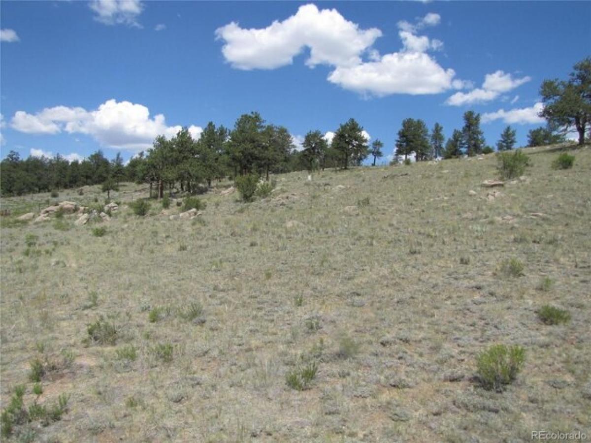 Picture of Residential Land For Sale in Hartsel, Colorado, United States
