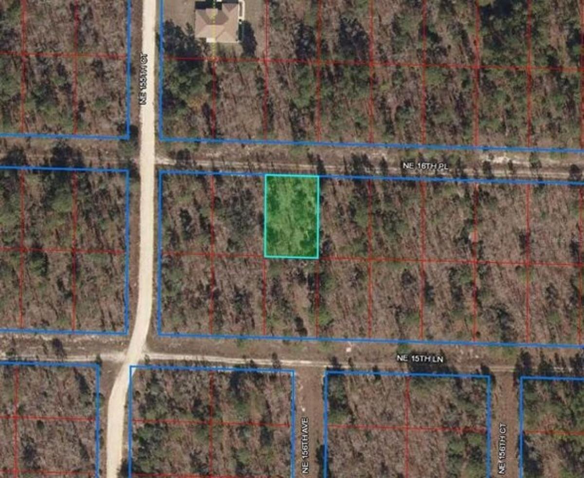 Picture of Residential Land For Rent in Williston, Florida, United States