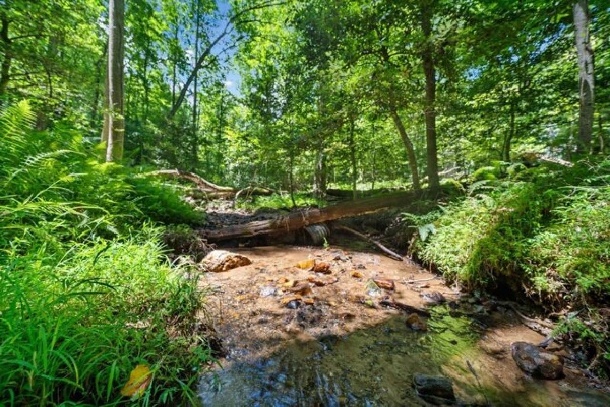 Picture of Residential Land For Sale in Ellijay, Georgia, United States