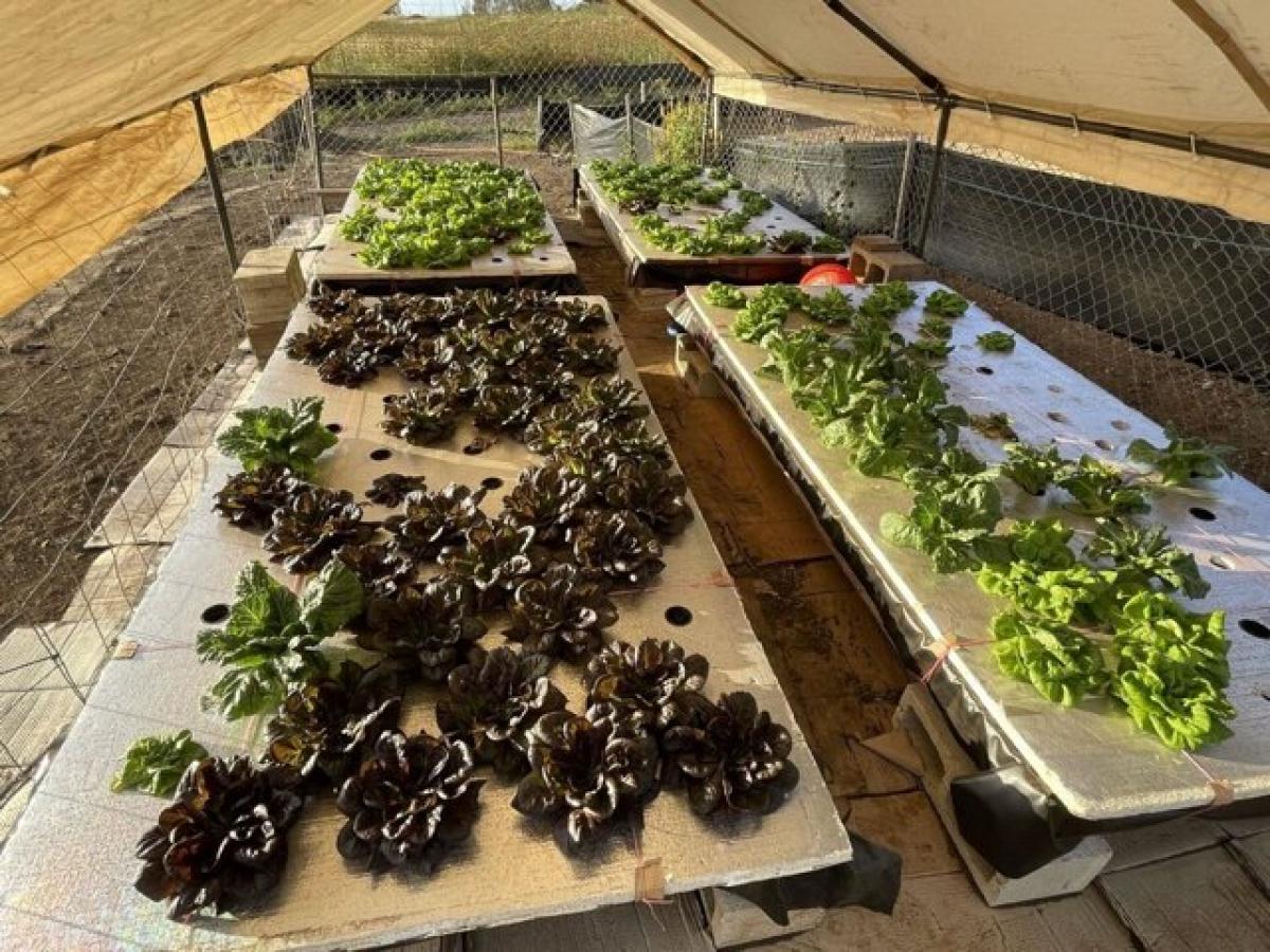 Picture of Residential Land For Sale in Kula, Hawaii, United States