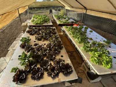 Residential Land For Sale in Kula, Hawaii