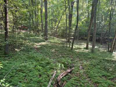 Residential Land For Sale in Blairsville, Georgia