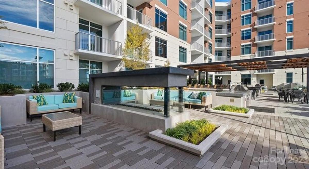 Picture of Apartment For Rent in Charlotte, North Carolina, United States