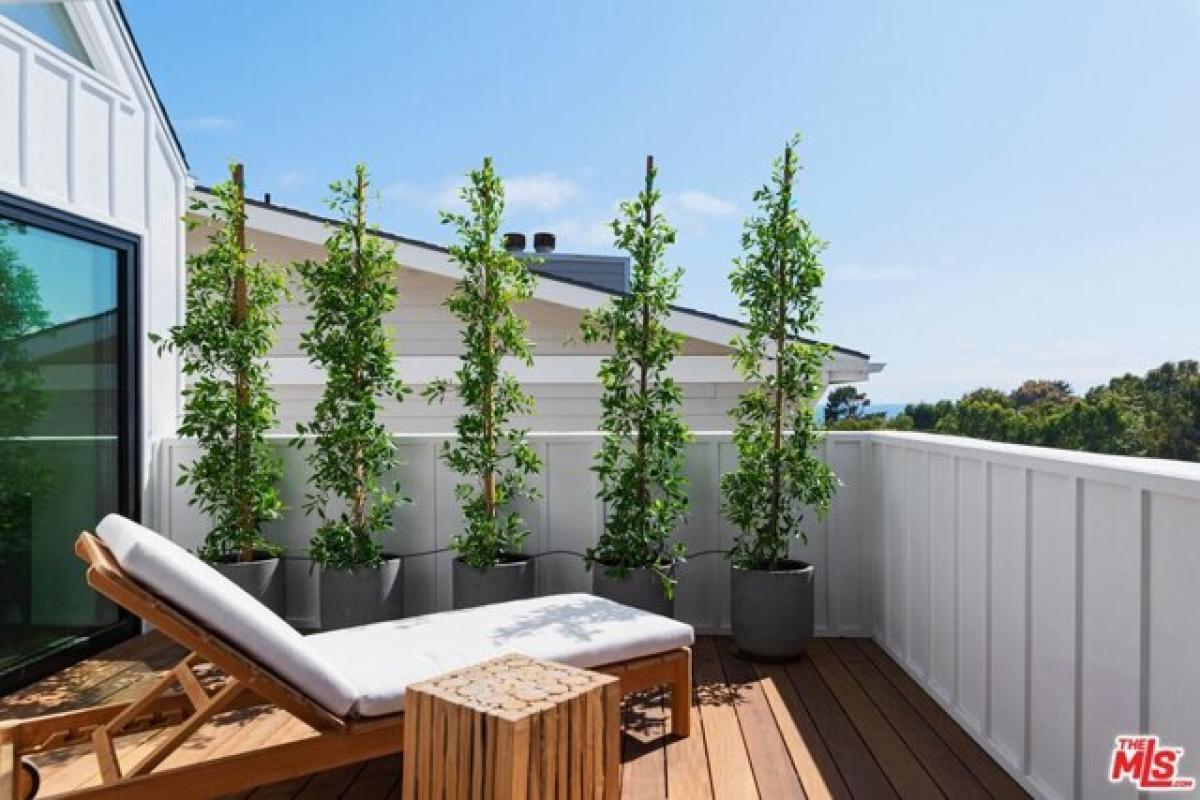 Picture of Home For Rent in Malibu, California, United States