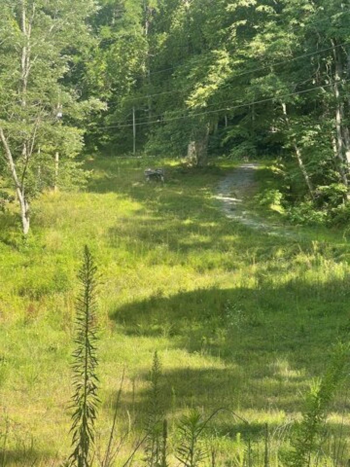 Picture of Residential Land For Sale in Hayesville, North Carolina, United States