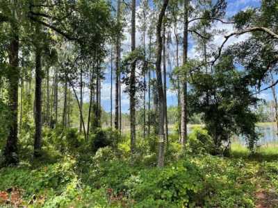 Residential Land For Sale in Ocklawaha, Florida