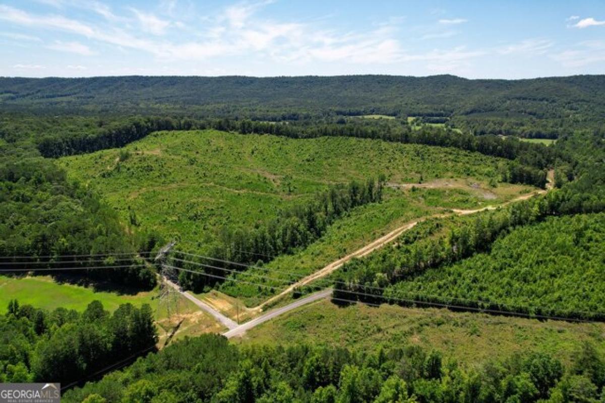 Picture of Residential Land For Sale in Rome, Georgia, United States