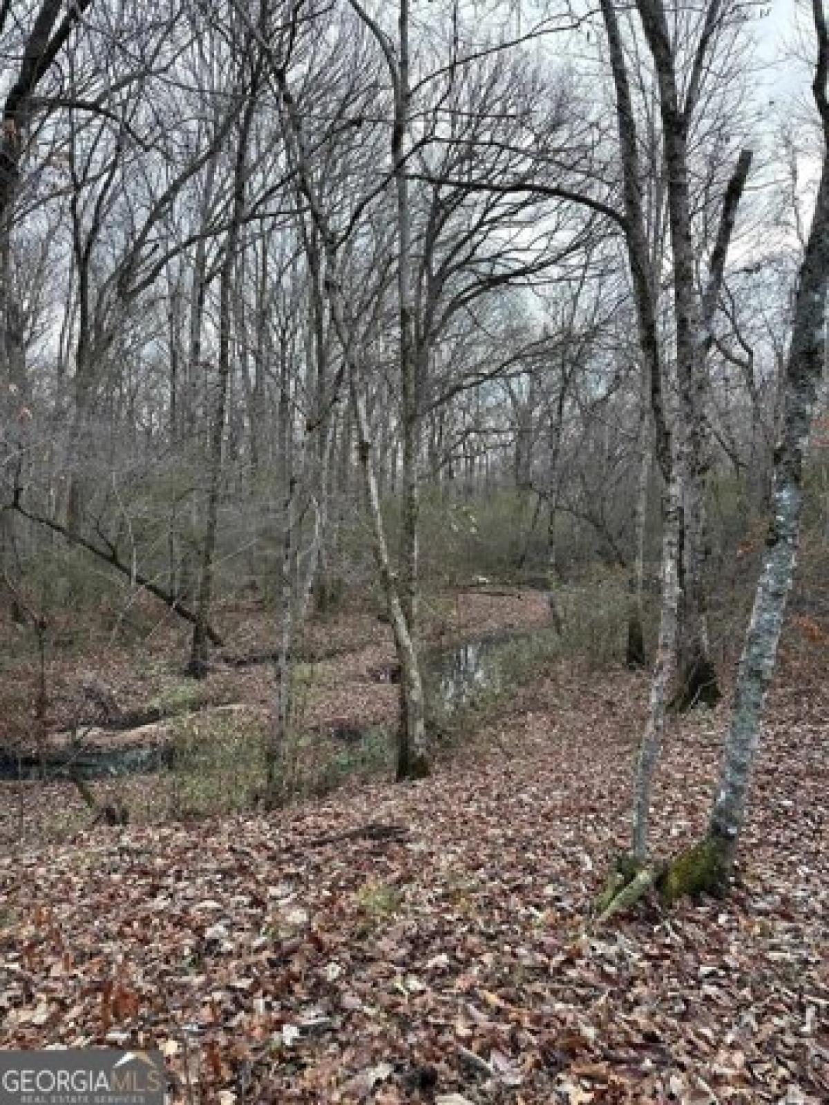 Picture of Residential Land For Sale in Molena, Georgia, United States