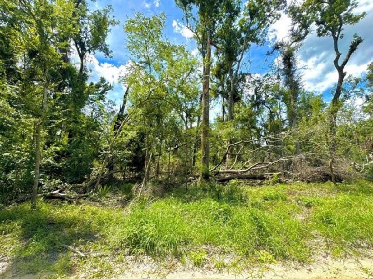 Picture of Residential Land For Rent in Jasper, Florida, United States