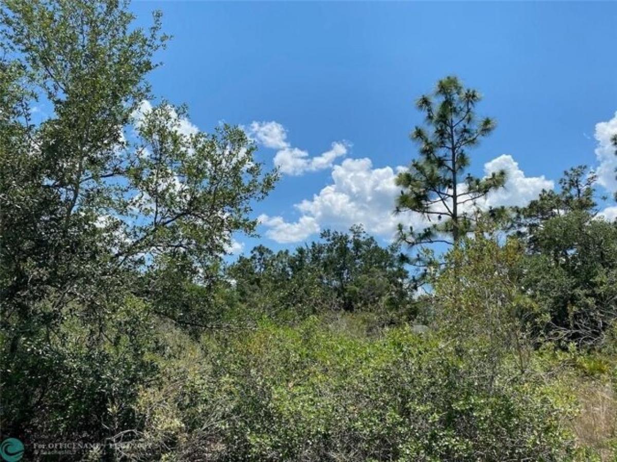 Picture of Residential Land For Sale in Indian Lake Estates, Florida, United States