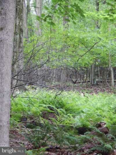 Home For Sale in Pottsville, Pennsylvania