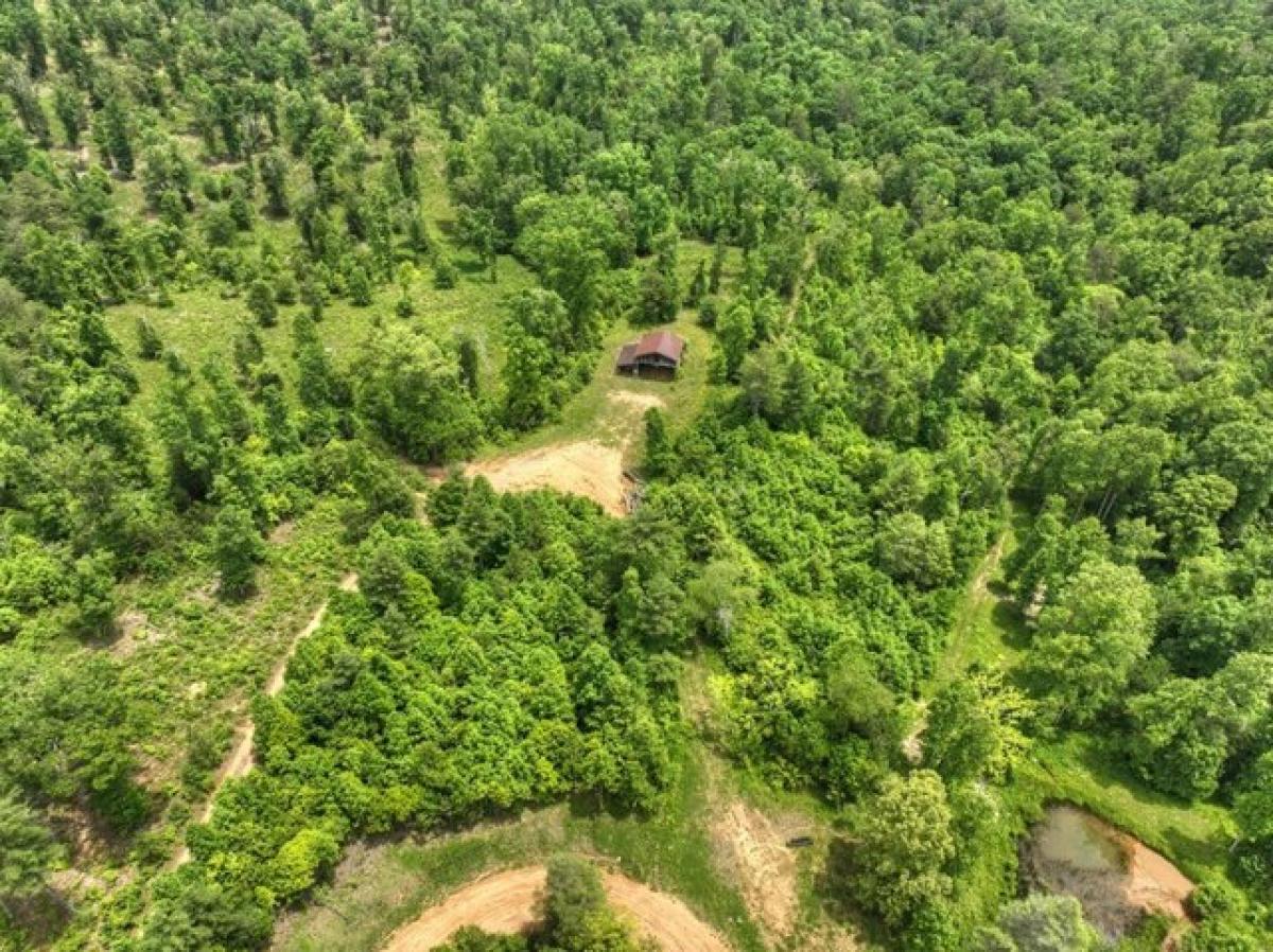 Picture of Residential Land For Sale in Blue Ridge, Georgia, United States