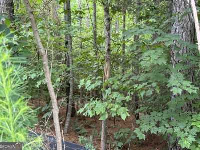 Residential Land For Sale in Ellijay, Georgia
