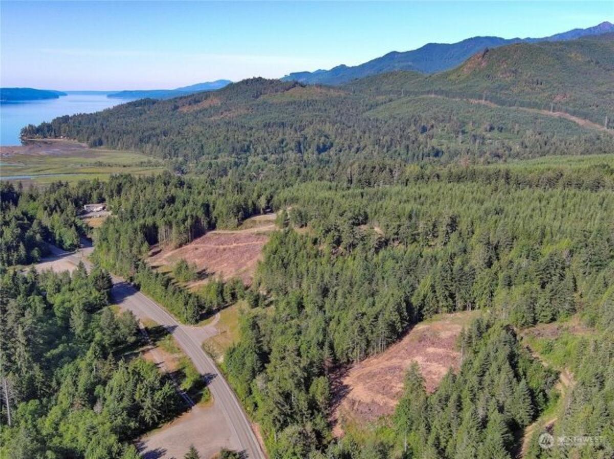 Picture of Residential Land For Sale in Brinnon, Washington, United States