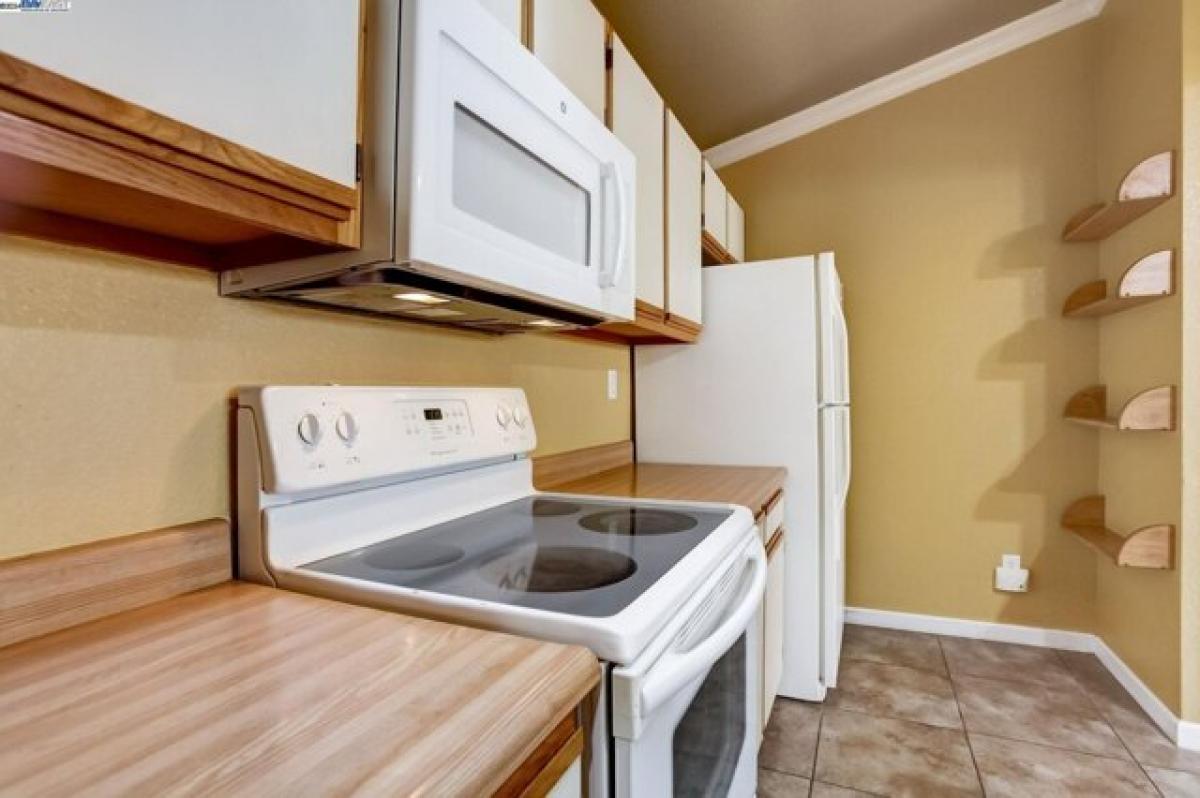 Picture of Home For Rent in Brentwood, California, United States