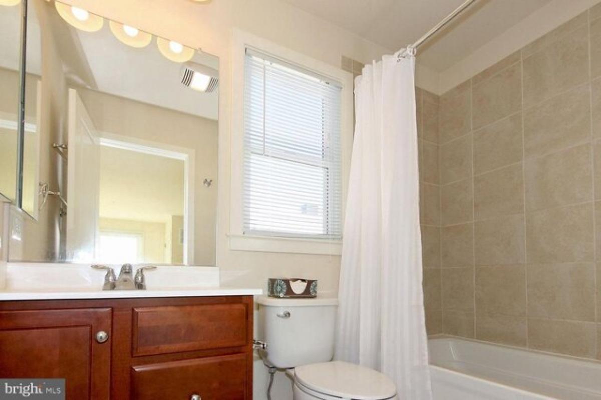 Picture of Home For Rent in Washington, District of Columbia, United States