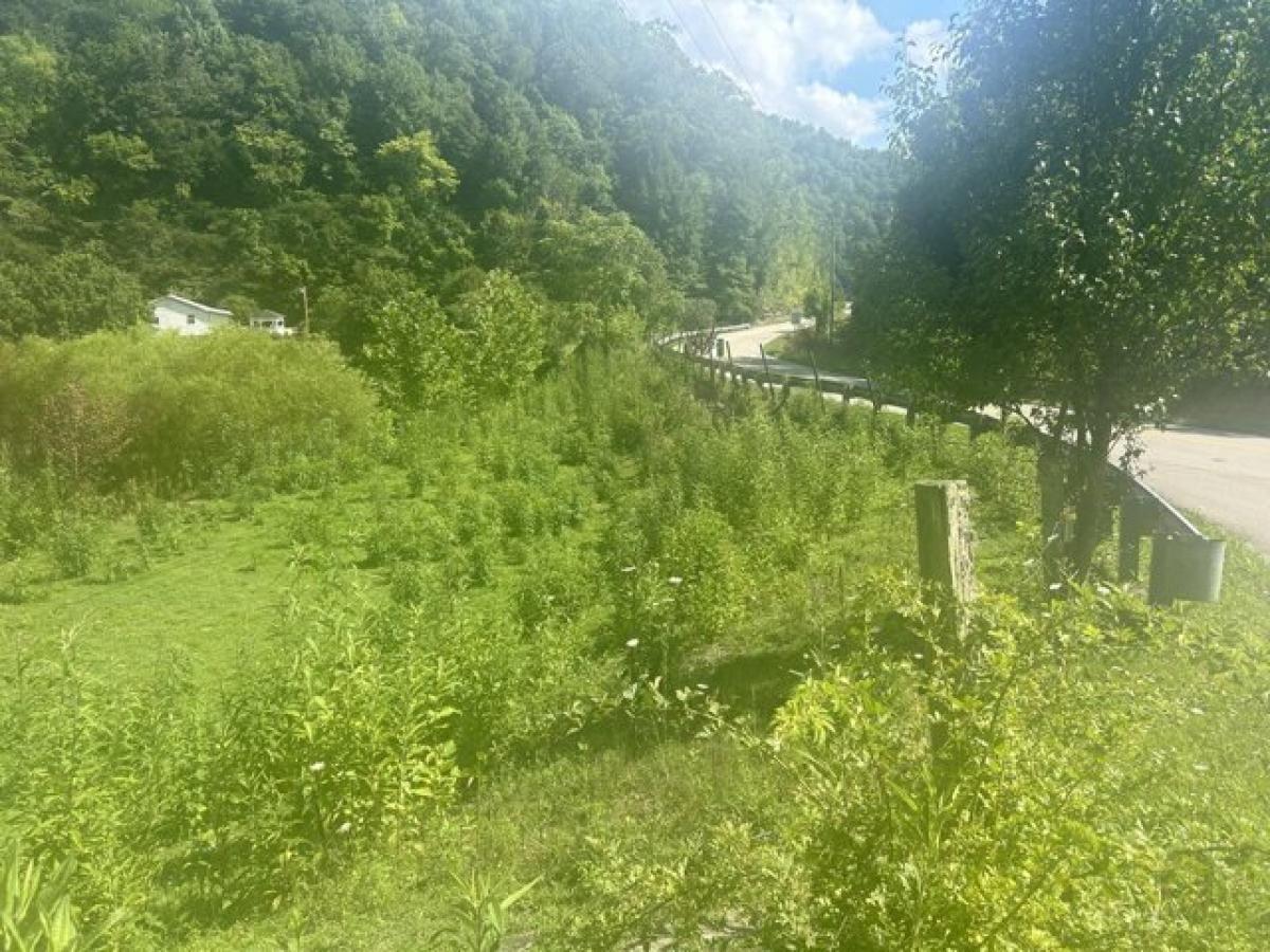 Picture of Residential Land For Rent in Oneida, Kentucky, United States