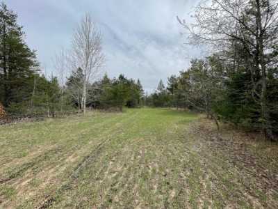 Residential Land For Sale in Kalkaska, Michigan